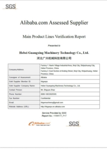 alibaba sgs